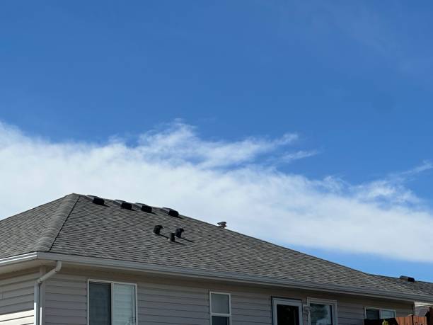 Best Asphalt Shingle Roofing  in Ridgway, PA